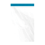 envelope transparente com lacre inviolavel sem fundo